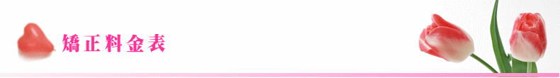 矯正料金表